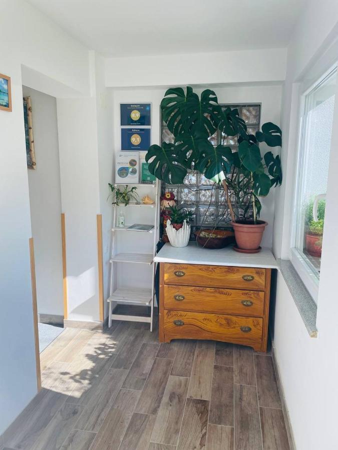 Apartma Pavla Spodnje Gorje Dış mekan fotoğraf