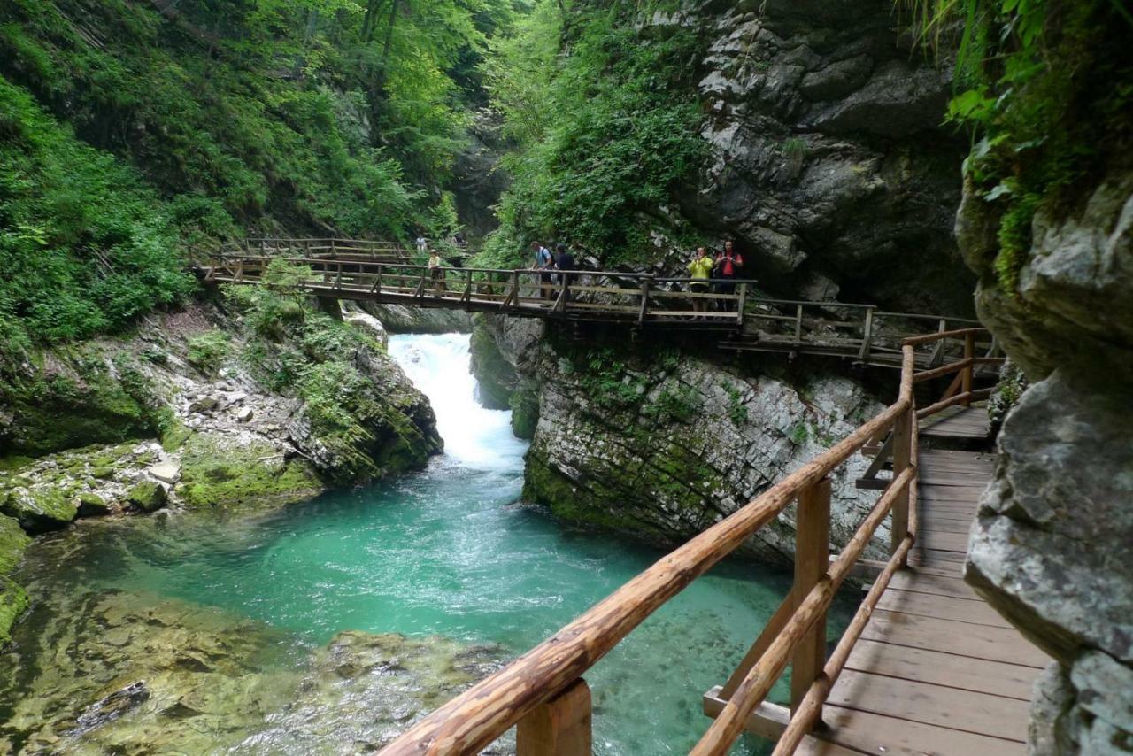 Apartma Pavla Spodnje Gorje Dış mekan fotoğraf